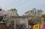 賀集八幡神社参道