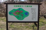広田梅林